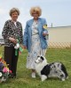 Highlight for Album: SSC OF W NY SHOW JUNE 6 & 7 